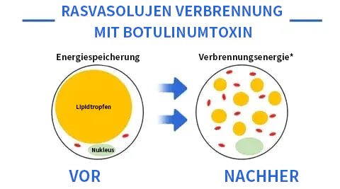 Aseja Geischtsserum