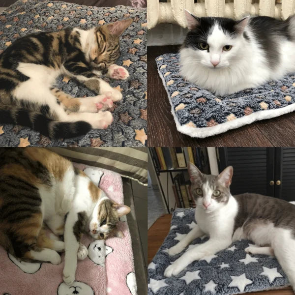 Kuschelige Beruhigende Katzendecke
