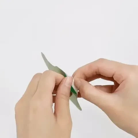 Aseja - Nackenpflaster